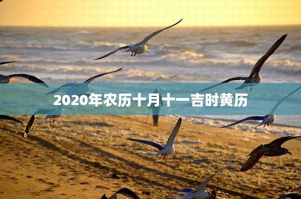 2020年农历十月十一吉时黄历
