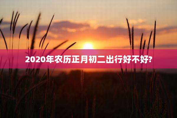 2020年农历正月初二出行好不好?