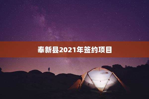 奉新县2021年签约项目