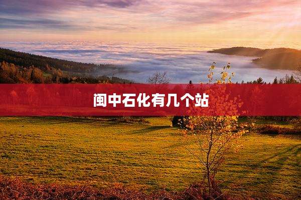 闽中石化有几个站