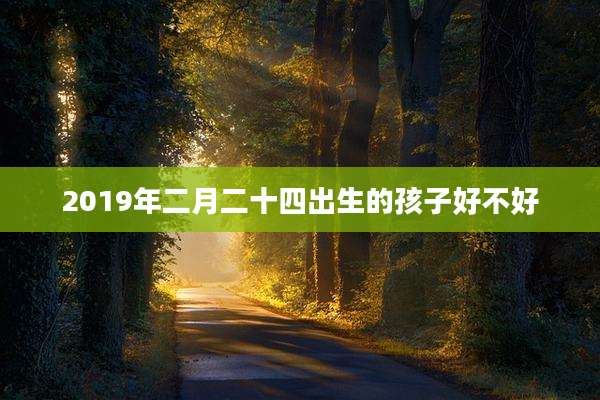 2019年二月二十四出生的孩子好不好