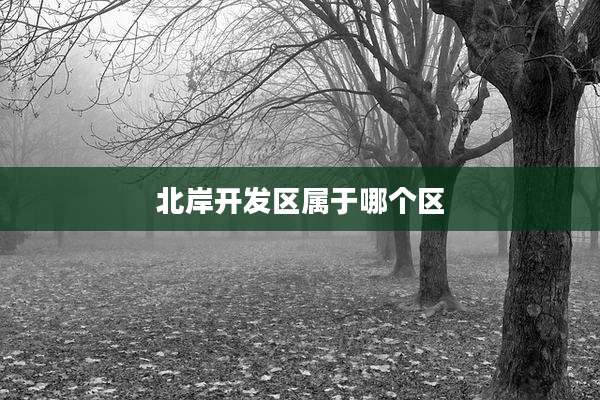 北岸开发区属于哪个区