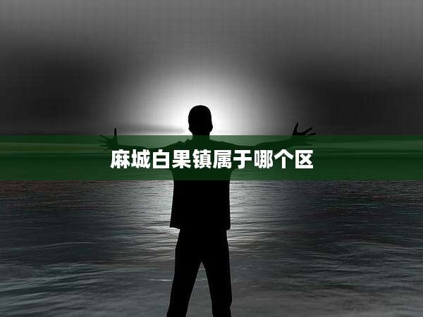 麻城白果镇属于哪个区