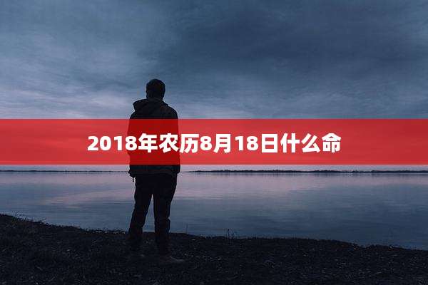 2018年农历8月18日什么命