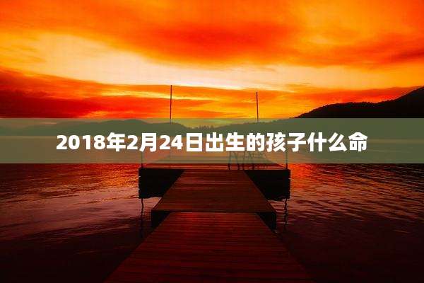 2018年2月24日出生的孩子什么命