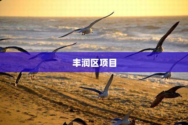 丰润区项目