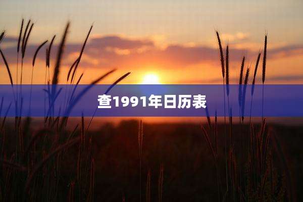查1991年日历表