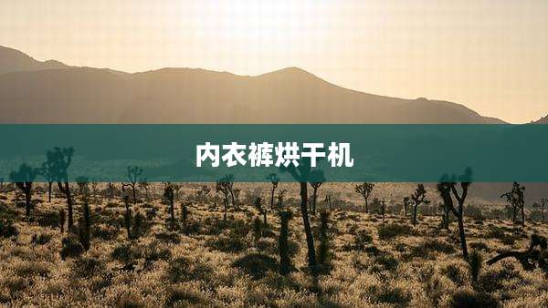内衣裤烘干机
