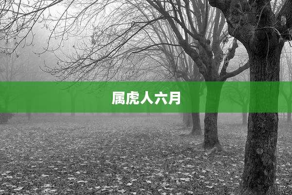 属虎人六月