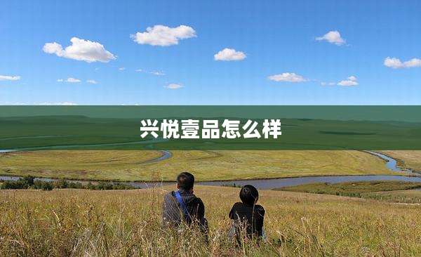 兴悦壹品怎么样