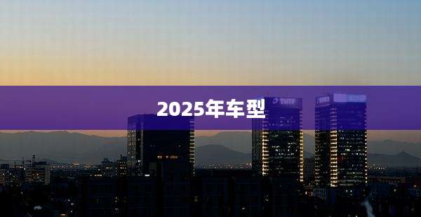 2025年车型
