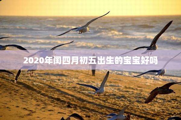 2020年闰四月初五出生的宝宝好吗
