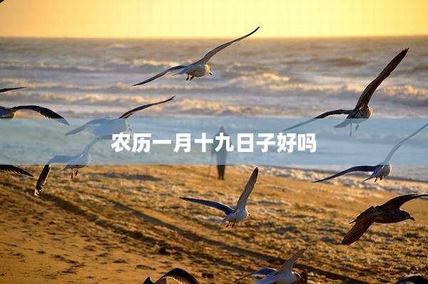农历一月十九日子好吗