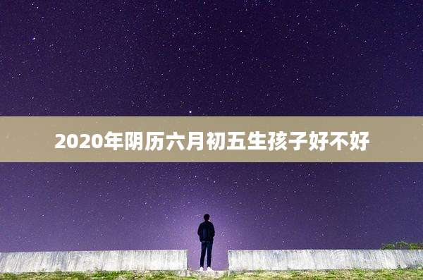 2020年阴历六月初五生孩子好不好