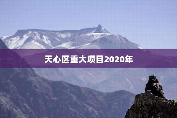 天心区重大项目2020年