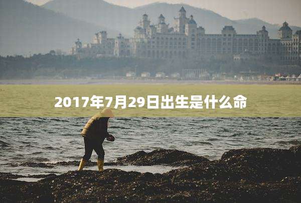 2017年7月29日出生是什么命