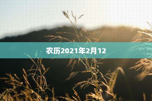 农历2021年2月12