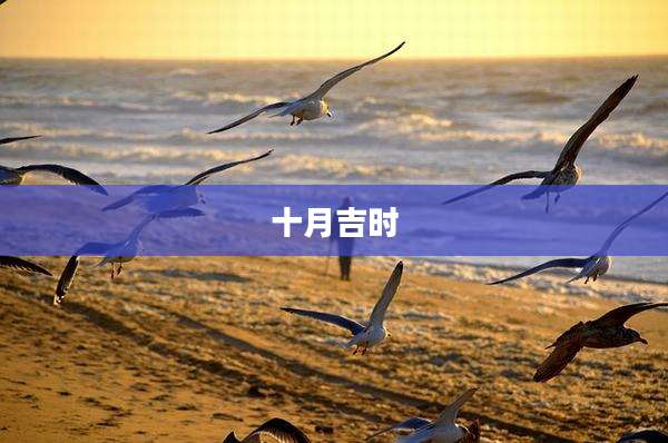十月吉时