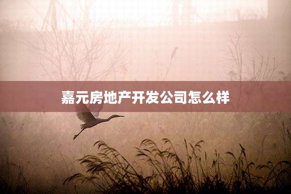 嘉元房地产开发公司怎么样