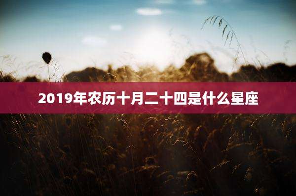 2019年农历十月二十四是什么星座