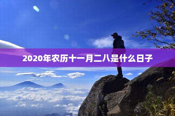 2020年农历十一月二八是什么日子