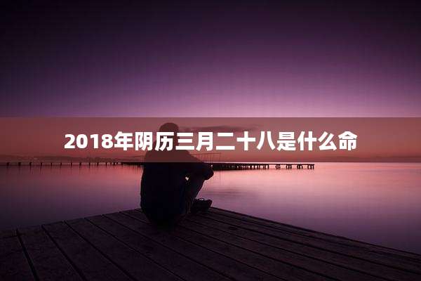 2018年阴历三月二十八是什么命
