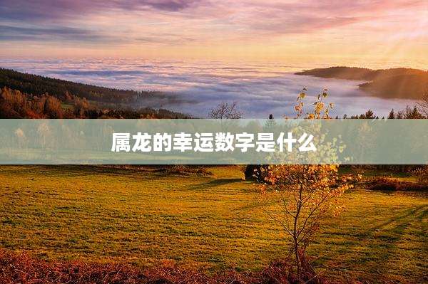 属龙的幸运数字是什么