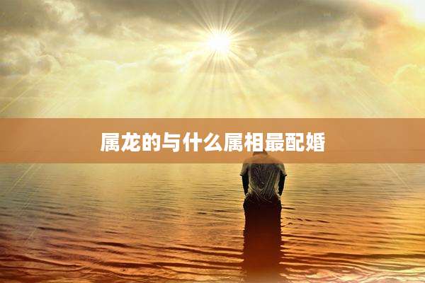 属龙的与什么属相最配婚