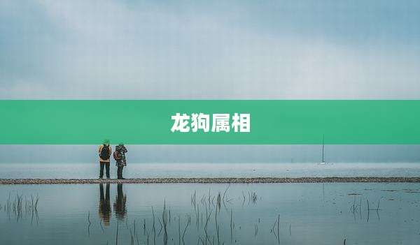 龙狗属相