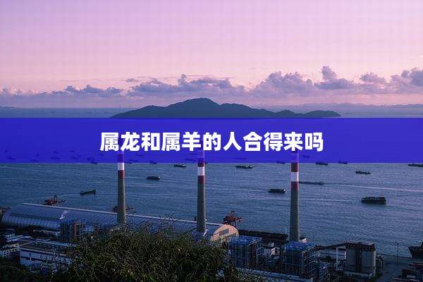 属龙和属羊的人合得来吗