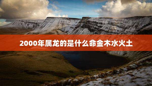 2000年属龙的是什么命金木水火土