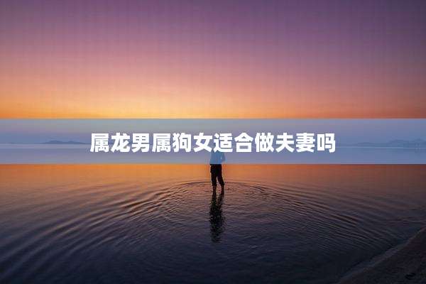 属龙男属狗女适合做夫妻吗