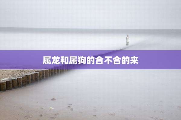 属龙和属狗的合不合的来