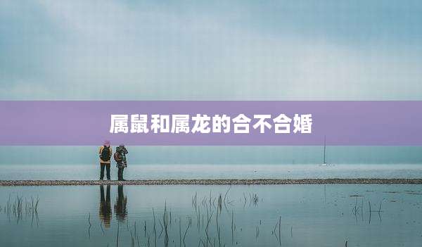 属鼠和属龙的合不合婚