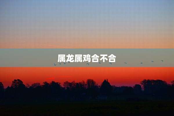 属龙属鸡合不合