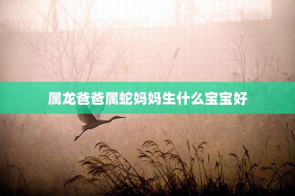 属龙爸爸属蛇妈妈生什么宝宝好