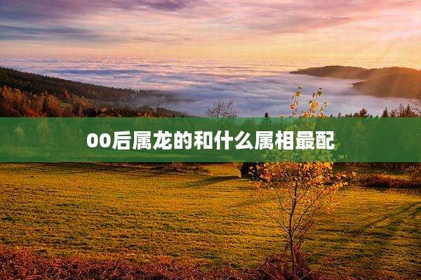 00后属龙的和什么属相最配