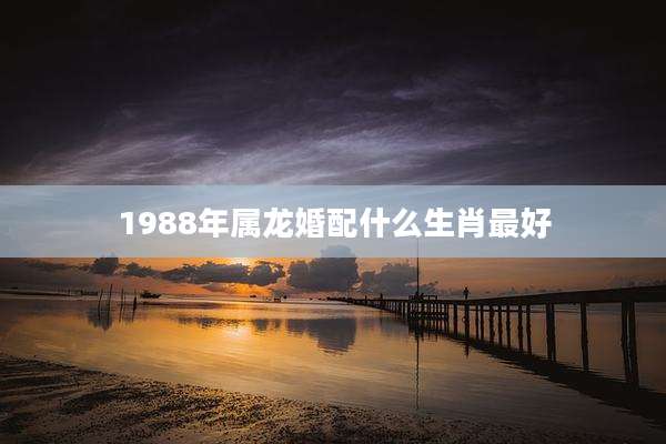 1988年属龙婚配什么生肖最好
