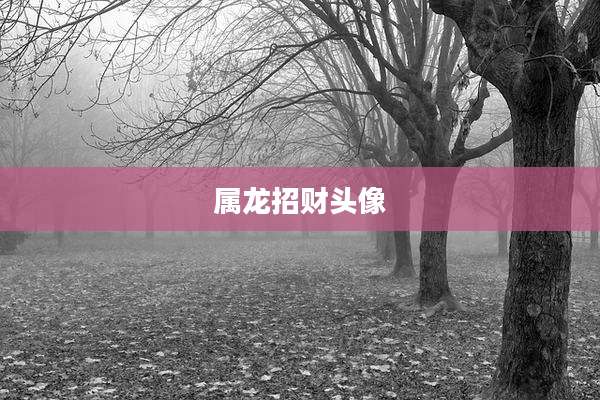 属龙招财头像