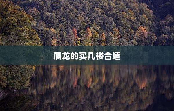 属龙的买几楼合适