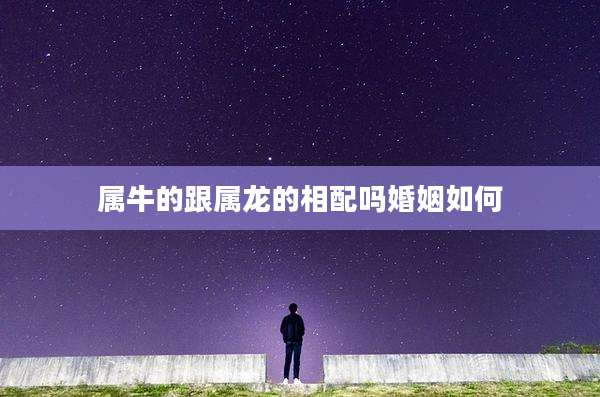 属牛的跟属龙的相配吗婚姻如何