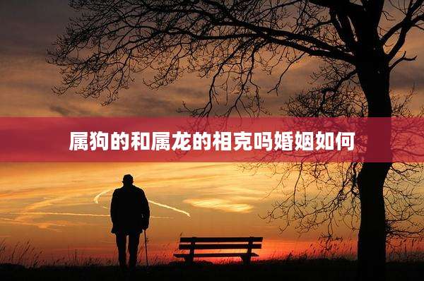 属狗的和属龙的相克吗婚姻如何