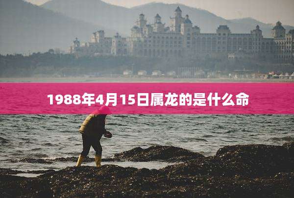 1988年4月15日属龙的是什么命