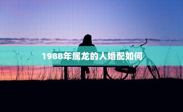 1988年属龙的人婚配如何