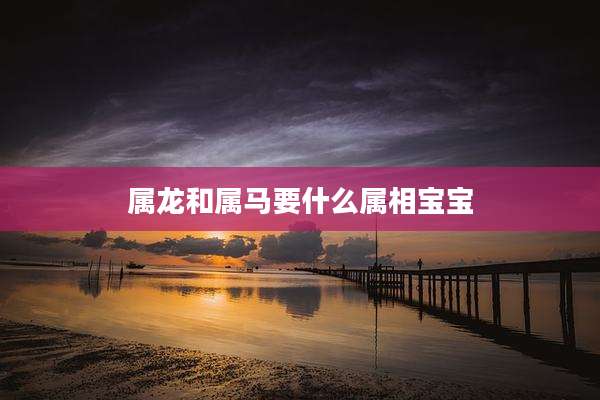 属龙和属马要什么属相宝宝