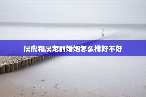 属虎和属龙的婚姻怎么样好不好