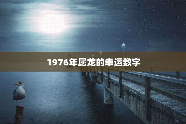 1976年属龙的幸运数字