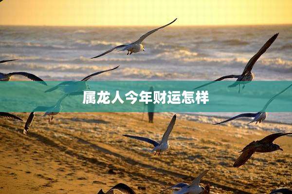 属龙人今年财运怎样