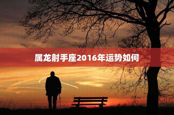 属龙射手座2016年运势如何