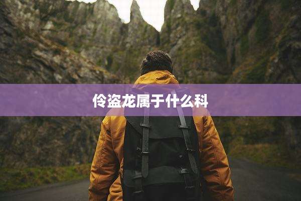 伶盗龙属于什么科